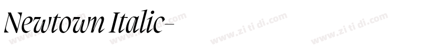 Newtown Italic字体转换